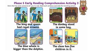 Visual Activity Phase 5 Early Reading Comprehension 3 Grade 1 IB Curriculum [upl. by Raseda]