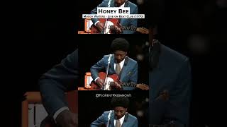 BLUES ARCHIVES Muddy Waters plays Honey Bee  Live at Beat Club 1970 [upl. by Michael]