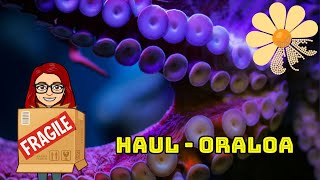 HAUL  Oraloa Nouveauté Yeah ou Neah pixiella [upl. by Akym]