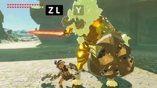 Zelda Breath of the Wild  5 Advanced Combat Tips [upl. by Annunciata]