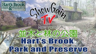 🏞️最寄の公園 ～ Hart’s Brook Park amp Preserve Hartsdale ハーツデール ニューヨーク NewYork [upl. by Traggat240]