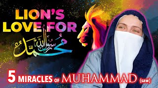 Muslimah REACTS to 5 MIRACLES OF MUHAMMAD ﷺ THAT SHOCKED THE SAHABAH [upl. by Hsital861]