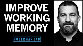 Tools to Enhance Working Memory amp Attention [upl. by Ahk385]