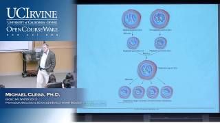 BioSci 94 Organisms to Ecosystems Lec 6 Phylogenetic Trees Fossil Record [upl. by Icyaj]