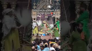 Vrindavan ke banke biharipremmandirvrindavan bankebiharitemple song love live trendingshorts [upl. by Ojimmas]