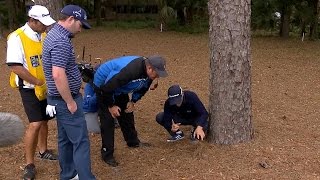 Camilo Villegas gets ruling on ball in pine straw at RBC Heritage [upl. by Raama]