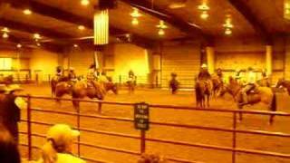 Buck Brannaman horse training [upl. by Lebasiram]