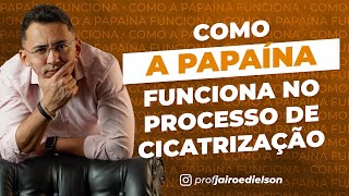 Como a papaína funciona na cicatrização de feridas [upl. by Amble]