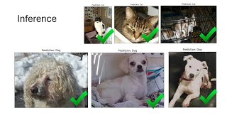 Enhancing Image Classification Performance with Transfer Learning in PyTorch [upl. by Lukin]