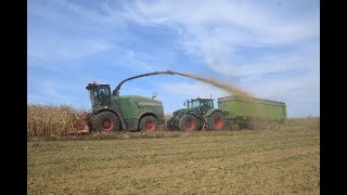 Ensilage de maïs  Fendt Katana 65 amp 8 tracteurs Fendt JD  AGRIJOE [upl. by Solracnauj]