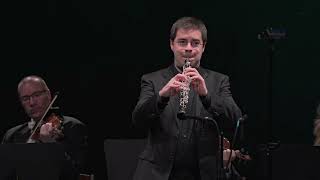 Albinoni  Oboe Concerto in D minor Op 9 No 2  Ramon Ortega oboe  Zagreb Soloists [upl. by Hsina]