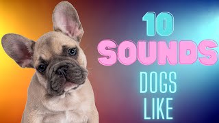 10 Sounds Dogs Like To Hear [upl. by Annette852]