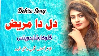 Saraiki Song 2024 New Song  Dil Da Mareez Haan PunjabiSaraikiRang [upl. by Rocky]