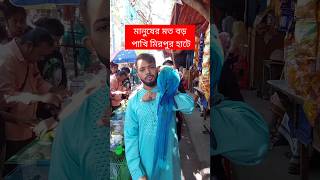 মানুষের মতো বড় পাখি মিরপুর হাটে  পাখি  Pakhi  মিরপুর ১ পাখির হাট  টিয়া পাখি  Tiya Pakhi short [upl. by Nnylecyoj]