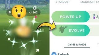 😮 Got wild shiny golden pokemon with 400 candy evolution  pokemon go [upl. by Bride345]