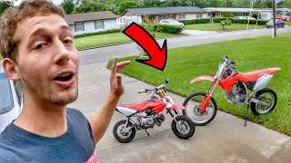 DIRT BIKE VS PIT BIKE Which Do I Prefer [upl. by Orman654]