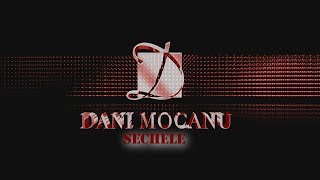 Dani Mocanu  Sechele  Official Audio [upl. by Enenaj123]