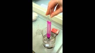 Ammonia reaction with water and phenolphthalein [upl. by Consuela288]