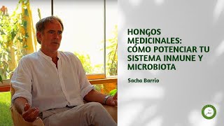 Hongos Medicinales Cómo Potenciar Tu Sistema Inmune y Microbiota [upl. by Alleuol]