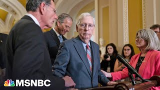 Mitch McConnell freezes at press conference and is escorted away [upl. by Lrub808]