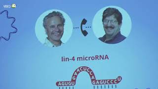 Dos estadounidenses ganan el Nobel de Medicina por los avances en la regulación de los genes [upl. by Eceined996]