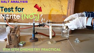 Test for nitrite ion NO2  salt analysis for anion 11th 12th chemistry saltanalysis lab [upl. by Idroj817]