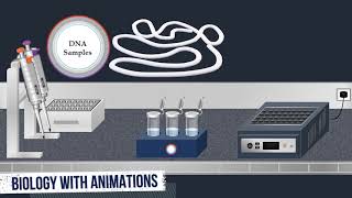 Southern Blot Method  Animated Video [upl. by Ylrebmyk874]