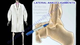 Ankle Ligaments Anatomy  Everything You Need To Know  Dr Nabil Ebraheim [upl. by Ericka]