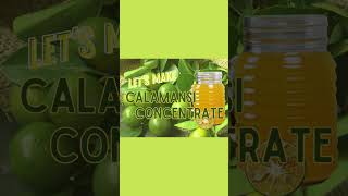 HOW TO MAKE CALAMANSI CONCENTRATE FARMDOKPHphilippines calamansi juicehealthrefreshing fypシ [upl. by Paucker978]