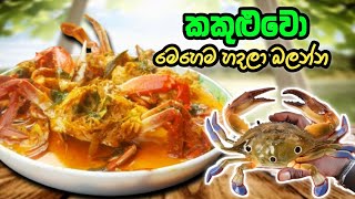 කකුළුවන් කරිය  Crabs Curry in Sri Lankan Recipe gameeka [upl. by Ahseetal345]