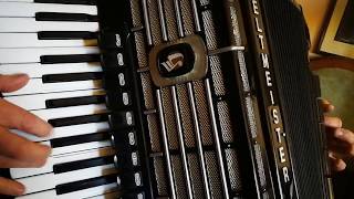 Weltmeister S5 120 Bass Double Cassotto Accordion Fisarmonica LMMMH Akkordeon 4 [upl. by Jacobsohn]