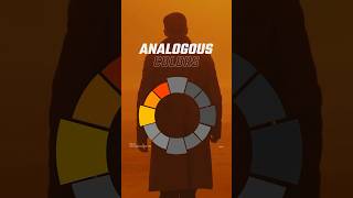 What is an Analogous Color Scheme shorts [upl. by Norraj]