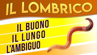 Il Lombrico il buono il lungo lambiguo ► Puntata 15 [upl. by Nabetse]