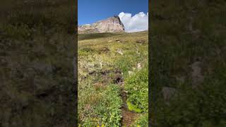 ⛰️ Epic Mountain Peak Colorado USA 🏞️ follow me for more [upl. by Statis]