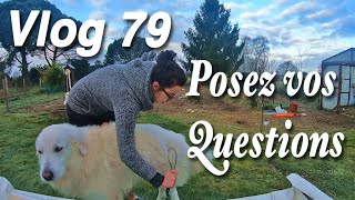 Posez moi vos Questions Vlog 79 [upl. by Oetam]