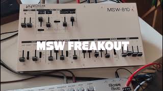 MSW810 FREAKOUT [upl. by Wiburg]