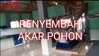 KULTUM SORE KISAH KAUM PENYEMBAH AKAR POHON [upl. by Jasmin]