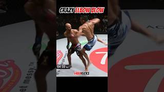 Crazy Elbow Blow muaythai mma boxing [upl. by Amabel]