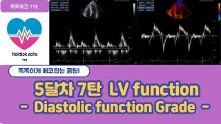 Diastolic dysfunction Grade DDF diastolic relaxation echocardiography 심장초음파 heart echo view [upl. by Swaine62]