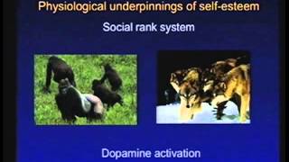 SelfCompassion for Caregivers Preventing Burnout Kristin Neff PhD Full Speech [upl. by Yelsha]