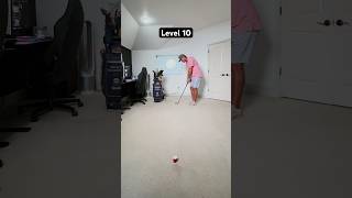 Chip shots by levels golf [upl. by Nosinned910]