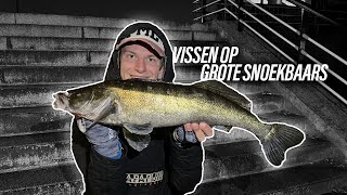 VISSEN OP GROTE SNOEKBAARS VANAF DE KANT [upl. by Concepcion]