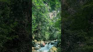 Crystal Clear Creek Sounds for Ultimate Relaxation short [upl. by Penrose]