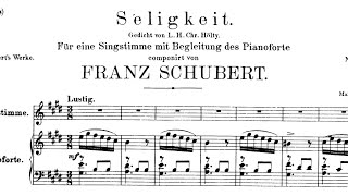 Seligkeit E Major Franz Schubert Piano Accompaniment [upl. by Ninette]