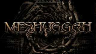 MESHUGGAH  Do Not Look Down OFFICIAL LYRIC VIDEO [upl. by Bergen]