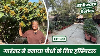 इंडोर प्लांट की ये बाते है आप नहीं जानते 😱🌱 Indoor Plants Garden Tour 🪴 Bhilwara Series EP03 [upl. by Schenck310]