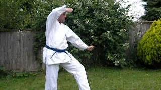 KARATE Kenpo Karate Pinan  4 Yondan by Brian Carlisle [upl. by Helmut]