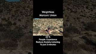 Easing Anxiety with Paul Greene The Soothing Power of Weightless by Marconi Union 🌟💆‍♂️ [upl. by Kresic350]