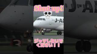 ケンカしながらテイクオフ😳？ 可愛くてごめん JAL 飛行機 出雲空港 ダブルブッキング airplane takeoff shorts [upl. by Farley]