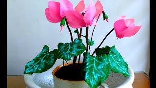 How to make Paper Flower Cyclamen  flower 132 [upl. by Kaliope130]